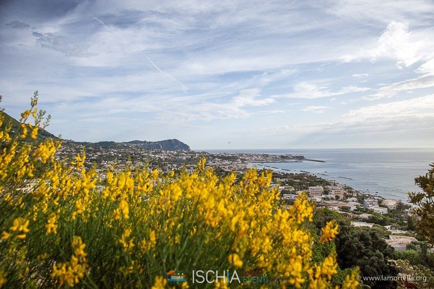 Ginestre Panorama Forio