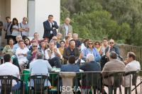 Pida_ischia_Villa_Arbusto-753