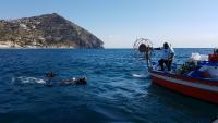 Ischia_Blitz_001