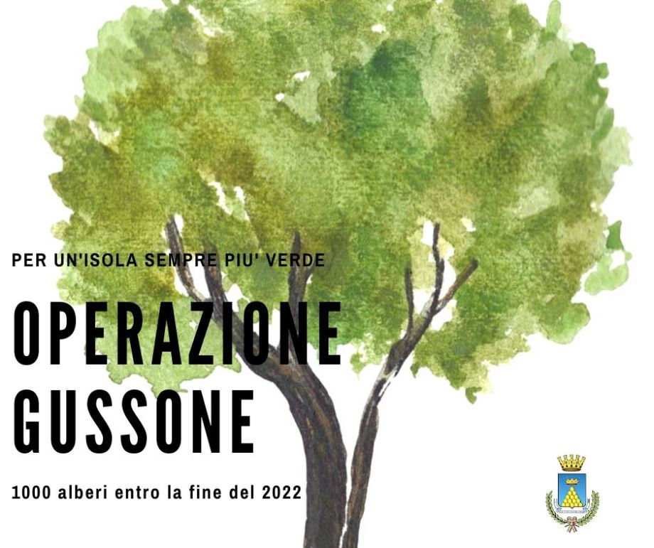 Operazione Gussone