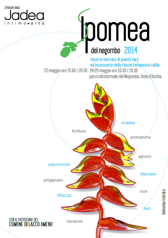 Ipomea del negombo 2014