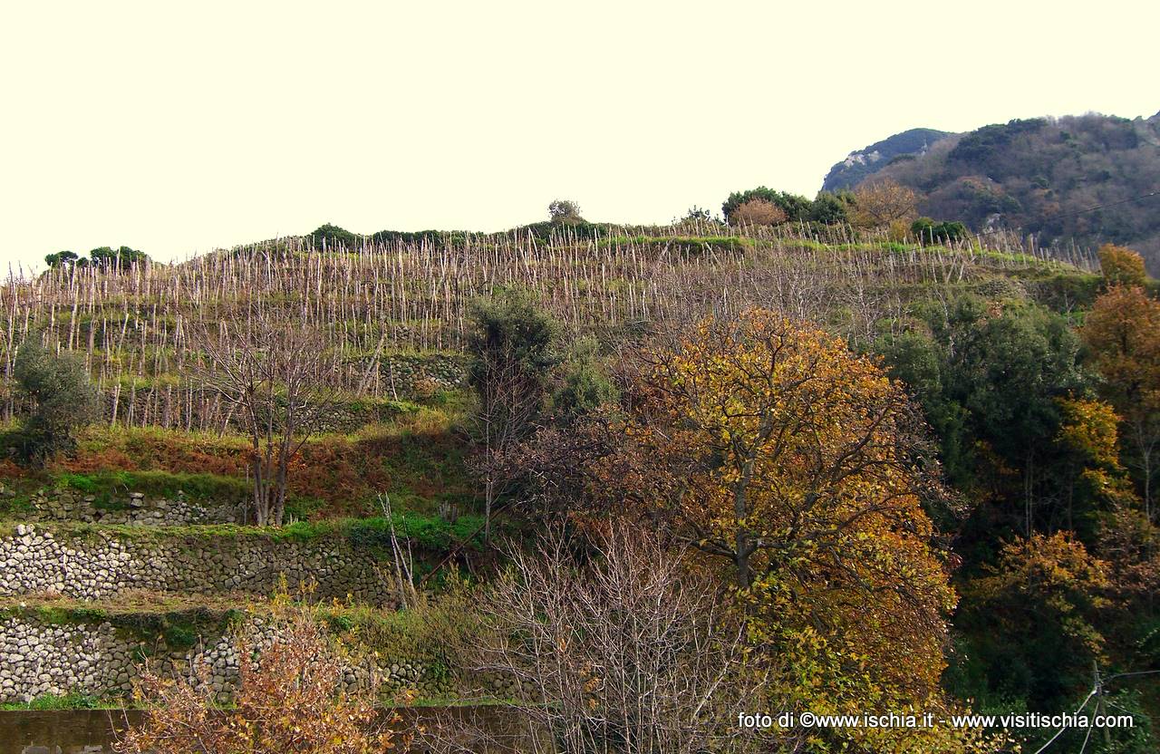 Autunno_ad_Ischia