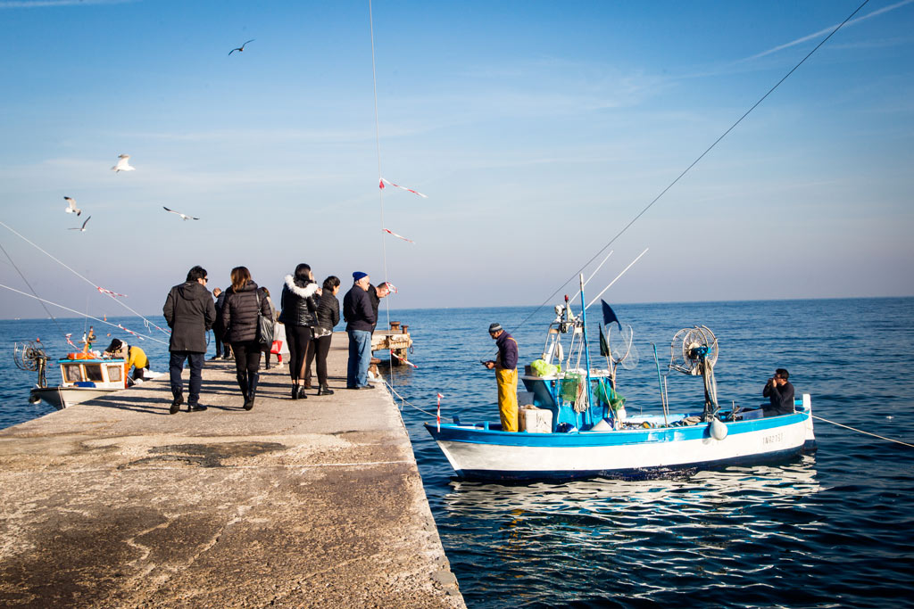 Pescatori Ischia ponte