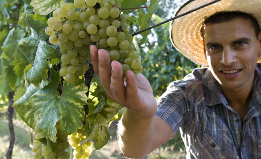 agricoltore-giovane