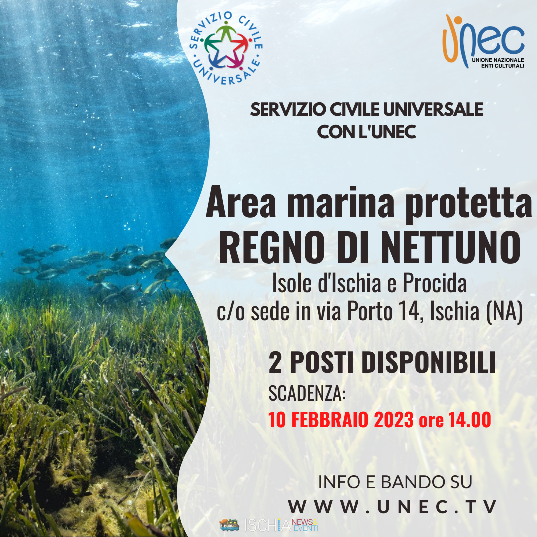 AMP REGNO DI NETTUNO