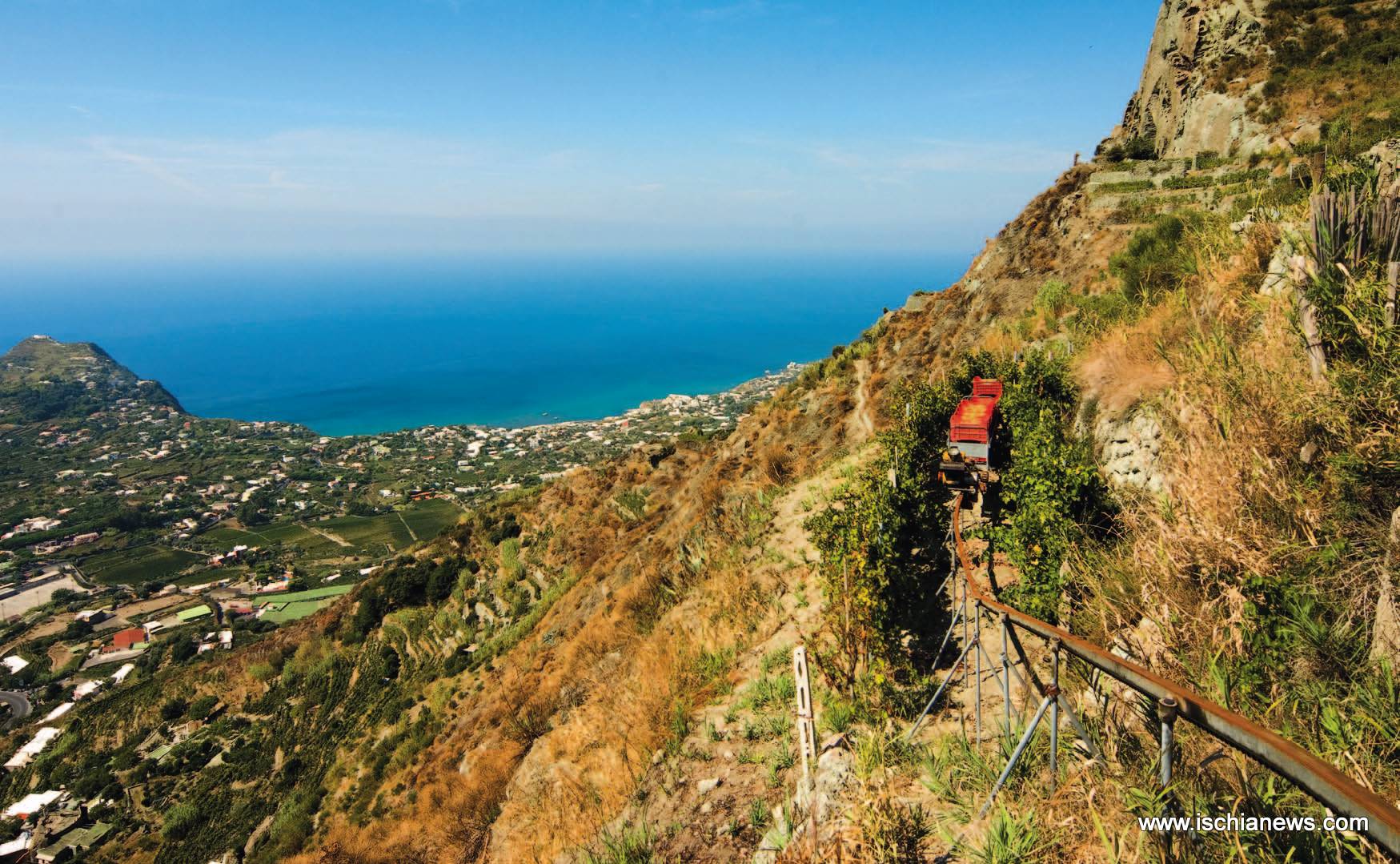 vigneti-ischia