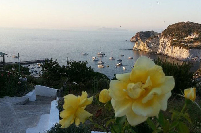 Ponza Cala Feola