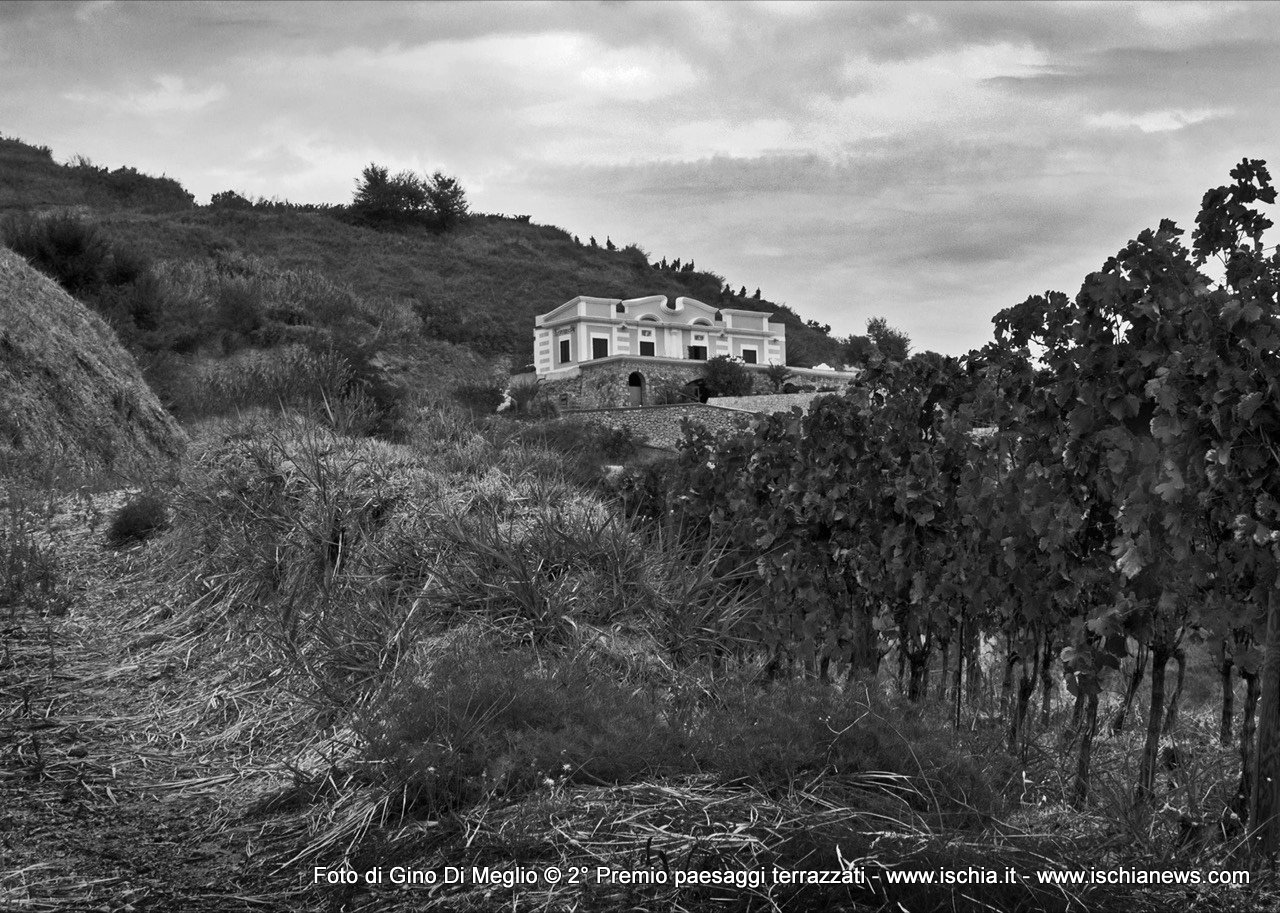 gino terrazza vigna mille anni