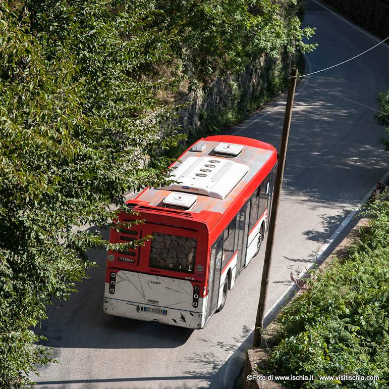 Autobus Eavbus