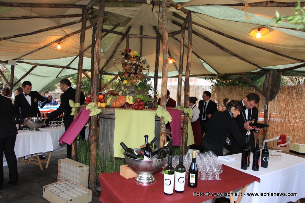 Inaugurazione-vinischia-2011