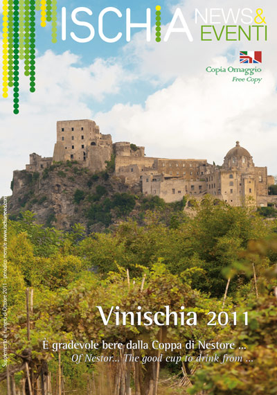 Copertina-Vinischia-2011