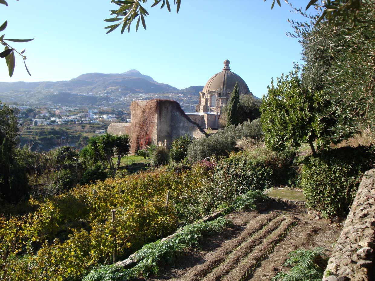 castello-orto-vigneto