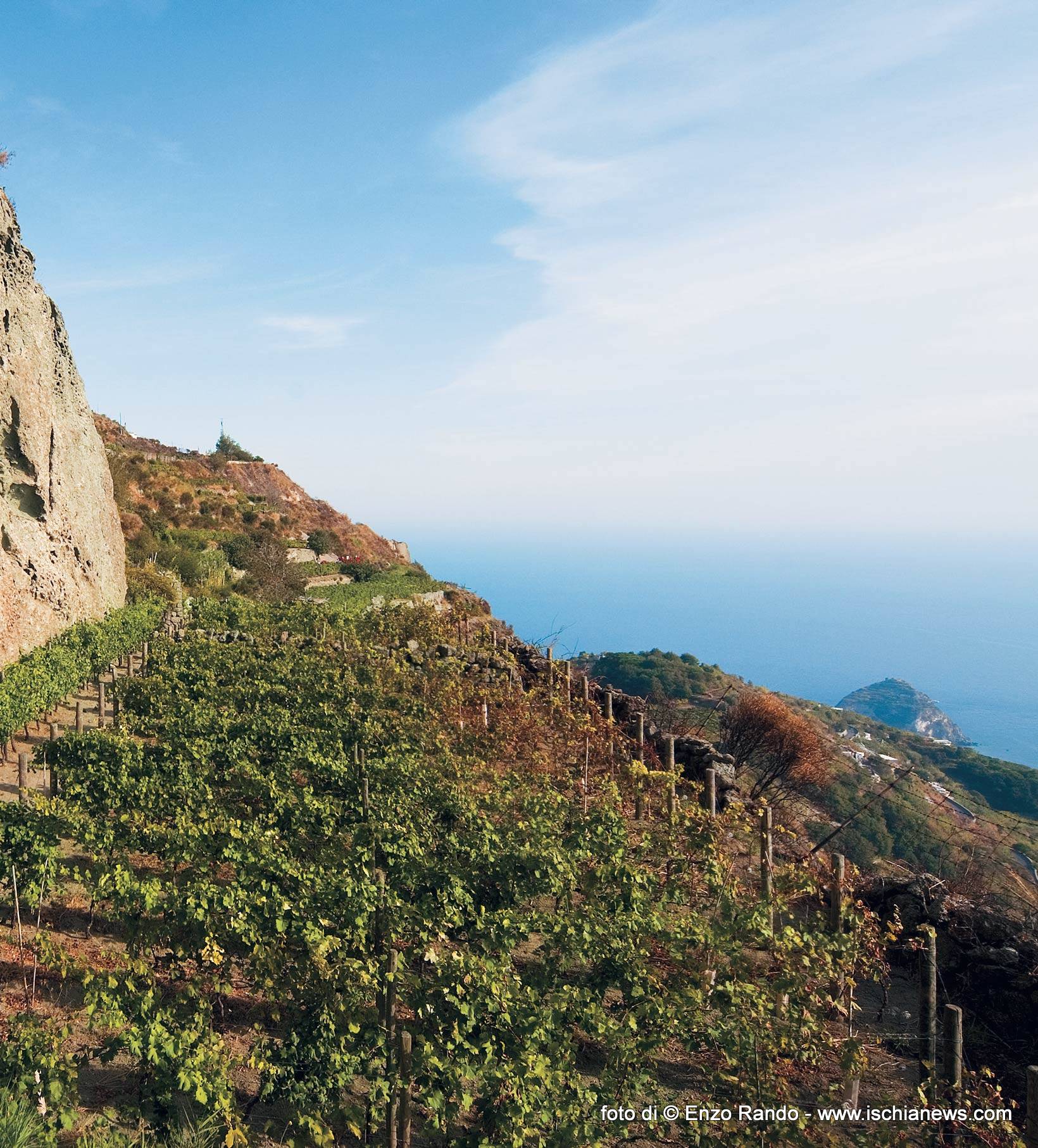 ischia-vigneti-frassitelli