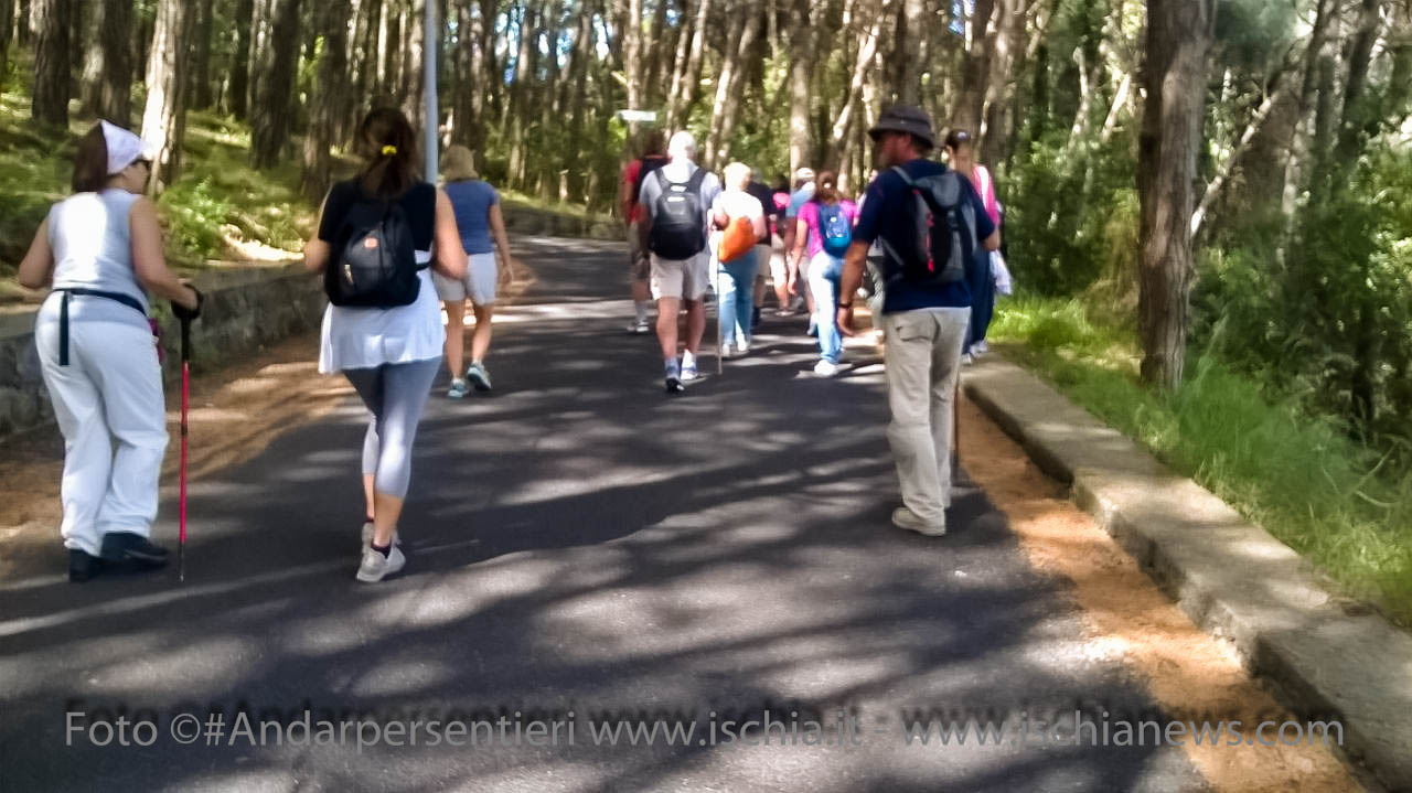 Andar per sentieri Bosco della Maddalena nel comune di Casamicciola Terme - isola d'Ischia