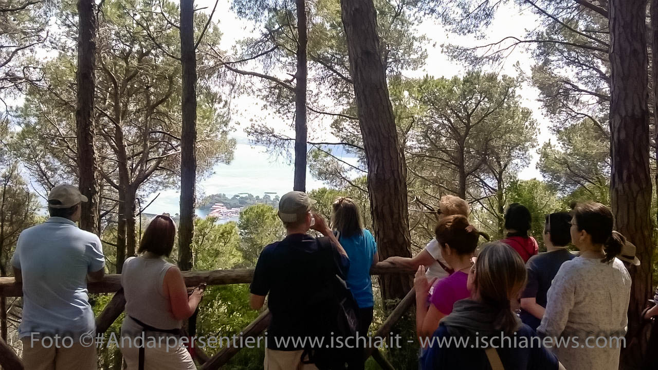 Andar per sentieri Bosco della Maddalena nel comune di Casamicciola Terme - isola d'Ischia