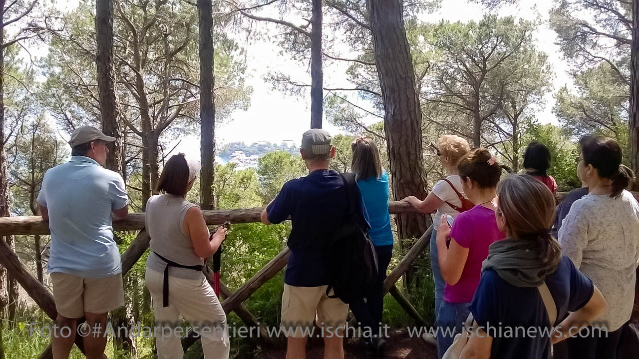 Andar per sentieri Bosco della Maddalena nel comune di Casamicciola Terme - isola d'Ischia