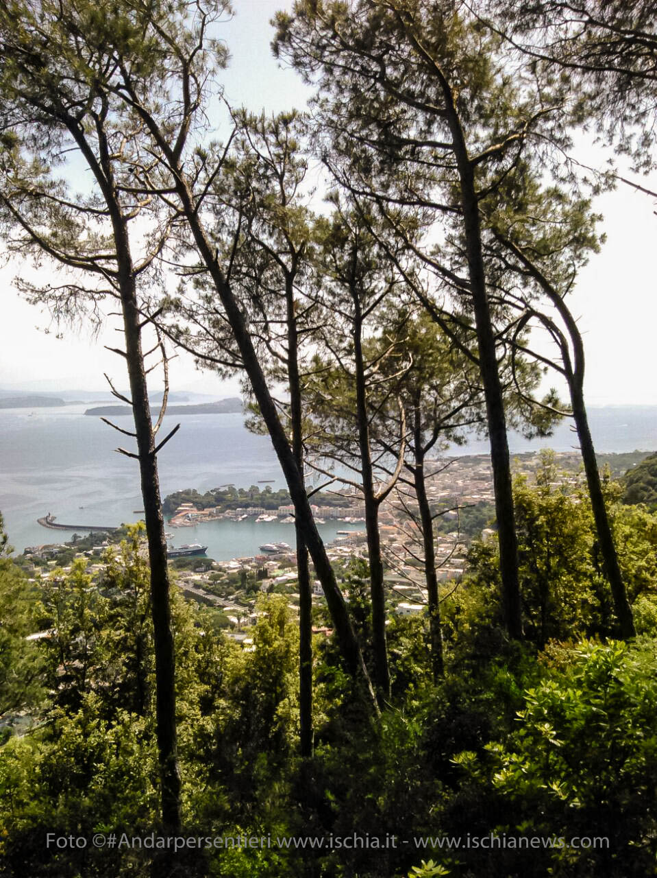 Andar per sentieri Bosco della Maddalena nel comune di Casamicciola Terme, vista sul porto di Ischia - isola d'Ischia