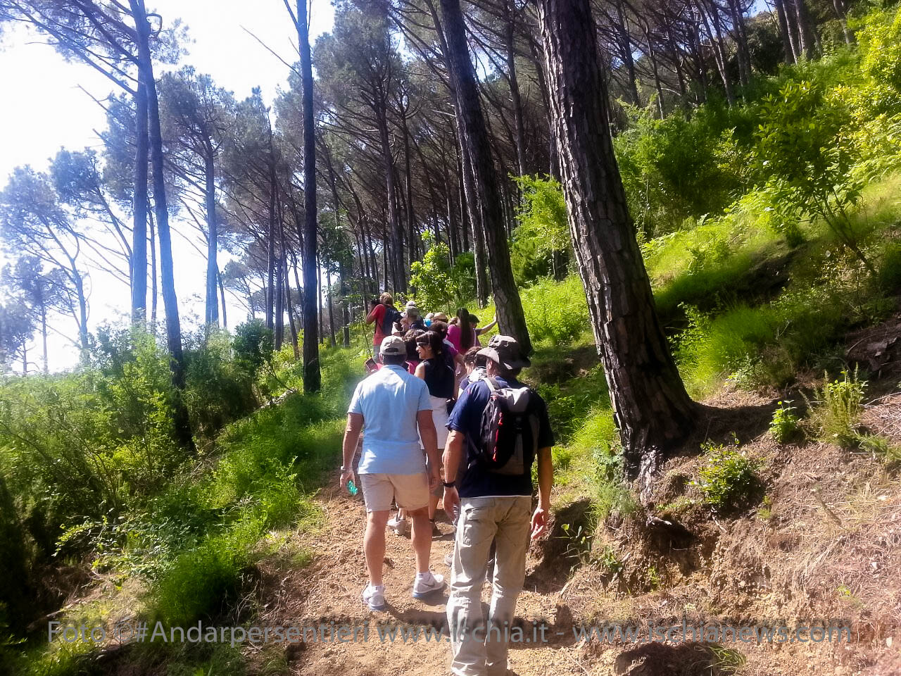 Andar per sentieri Bosco della Maddalena nel comune di Casamicciola Terme - isola d'Ischia