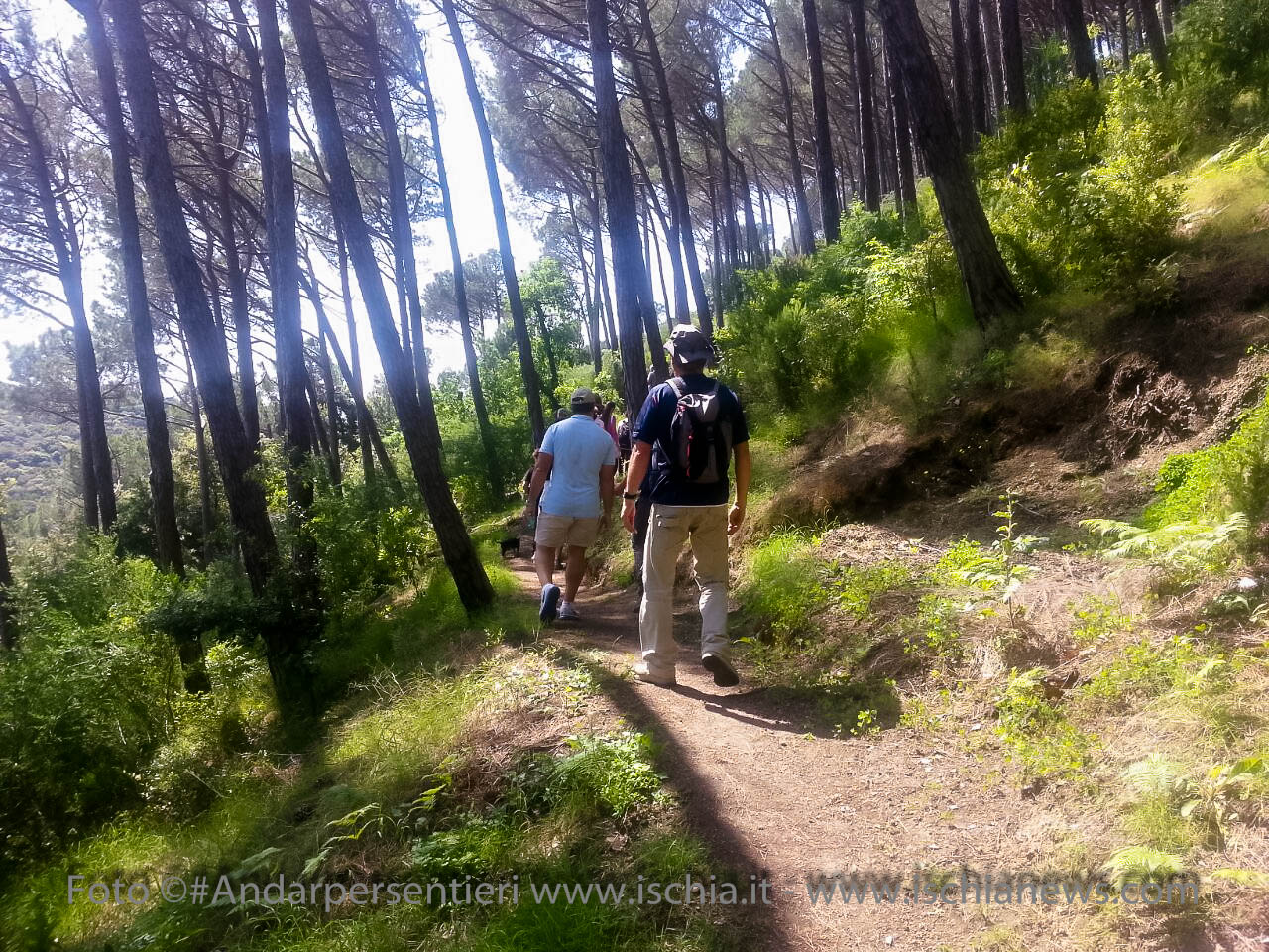 Andar per sentieri Bosco della Maddalena nel comune di Casamicciola Terme - isola d'Ischia