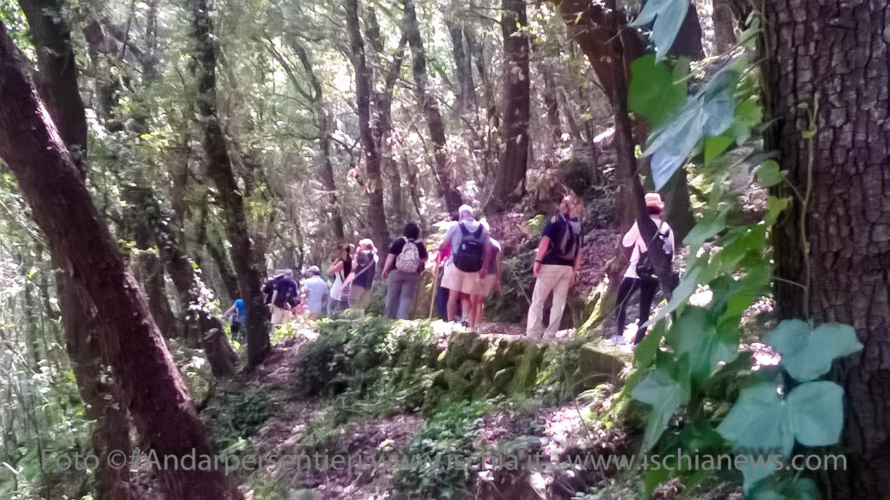 Andar per sentieri il Cratere del cretaio, nel comune di Casamicciola Terme - isola d'Ischia