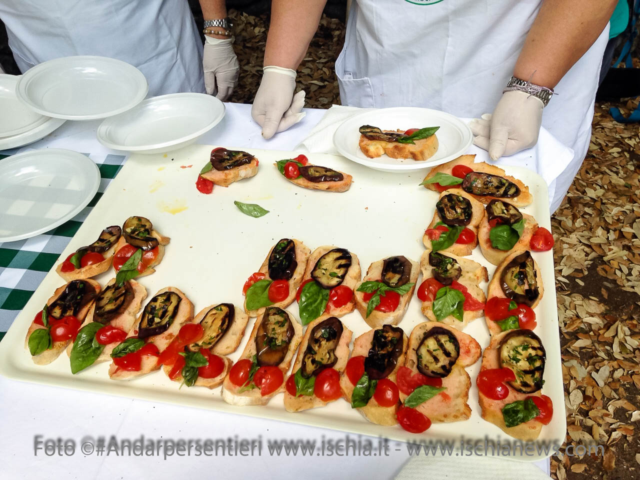 Andar per sentieri Bosco della Maddalena nel comune di Casamicciola Terme, merenda campestre offerta dagli Amici del Maio - isola d'Ischia