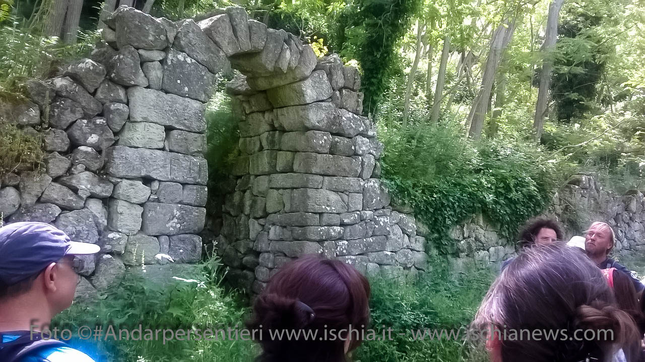 Andar per Sentieri, Bosco dei Frassitelli isola d'Ischia