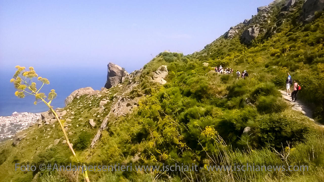 Ischia Andar per Sentieri i Frassitelli