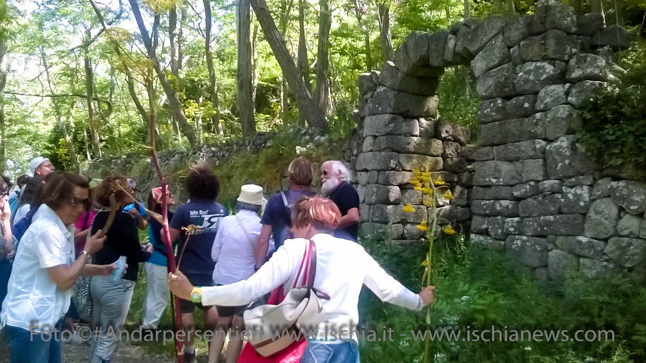 Andar per Sentieri, Bosco dei Frassitelli isola d'Ischia