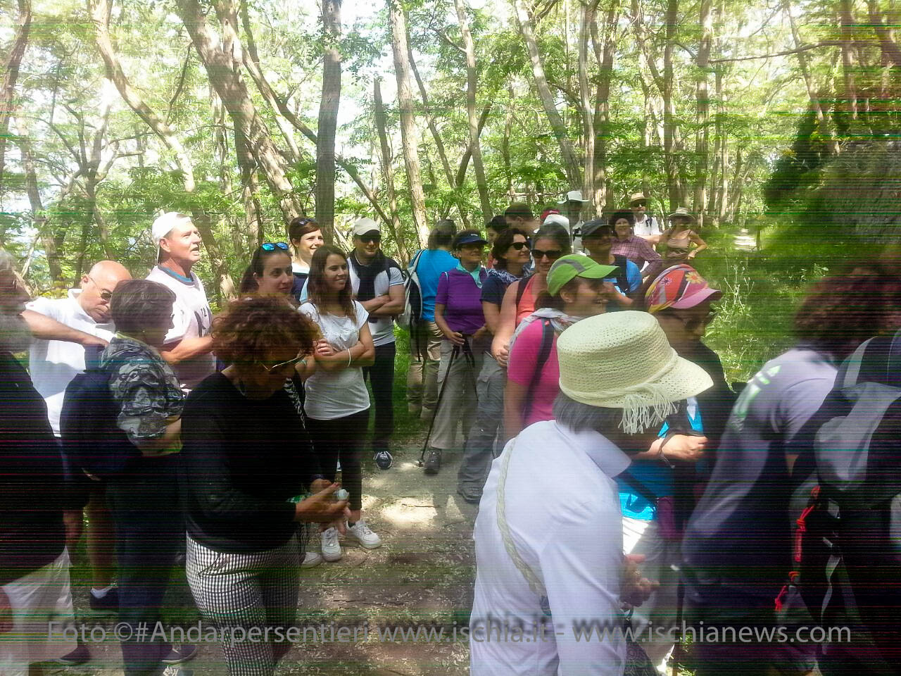 Andar per Sentieri, Bosco dei Frassitelli isola d'Ischia