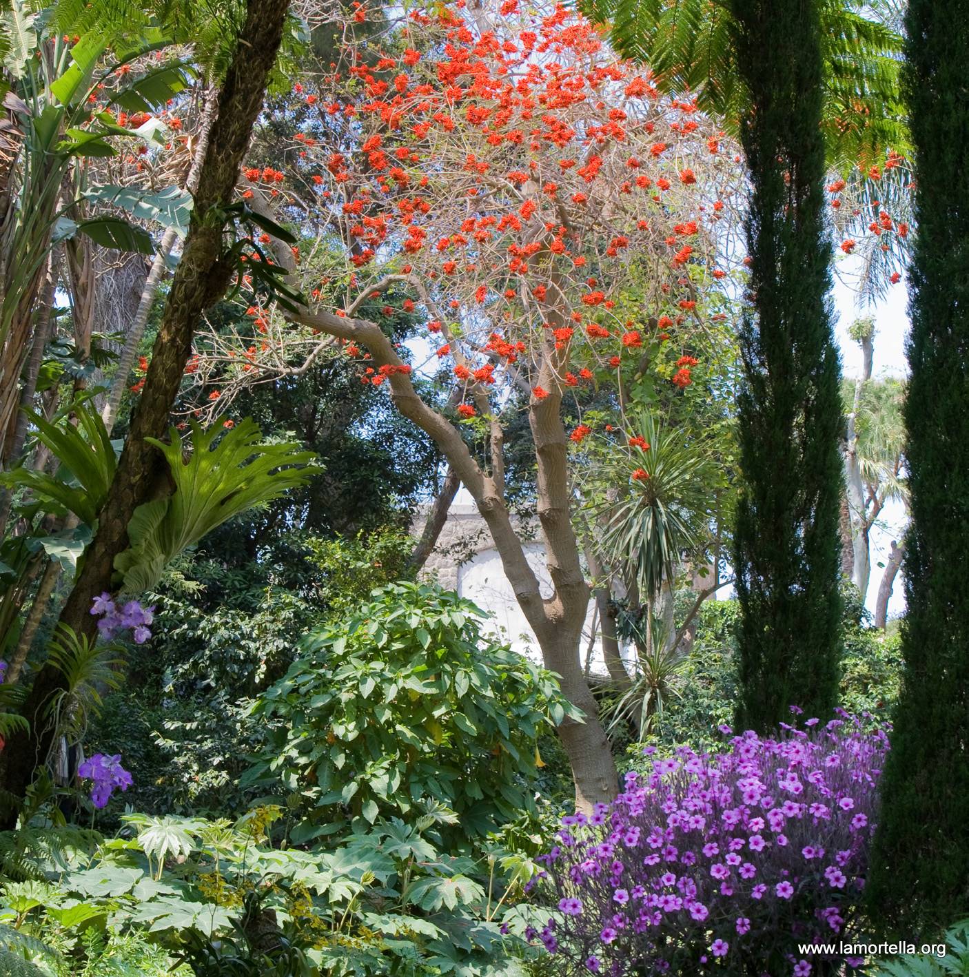 Giardini la Mortella