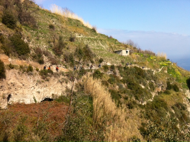 Domenica tra cielo e mare