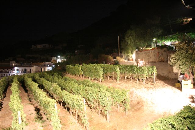 Vendemmia notturna Cantine Pietratorcia