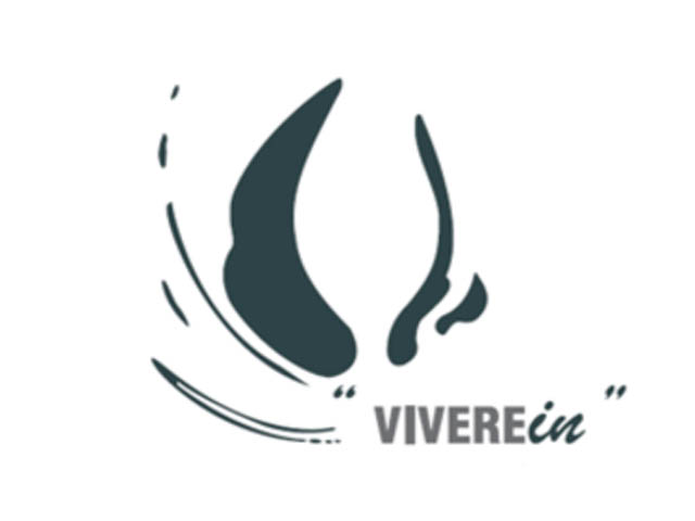 logo viverein